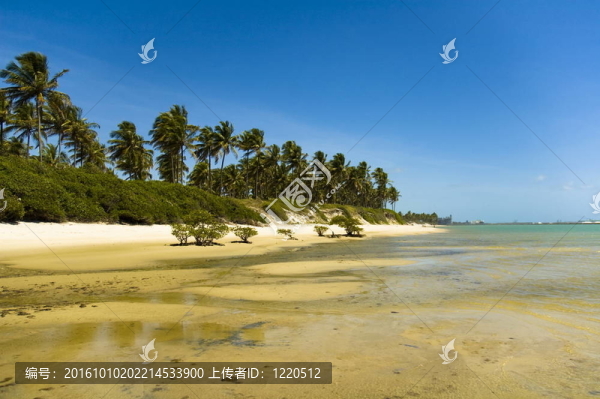 天堂海灘