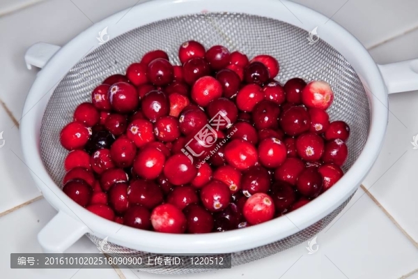 小紅莓
