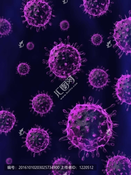 甲型H1N1流感病毒