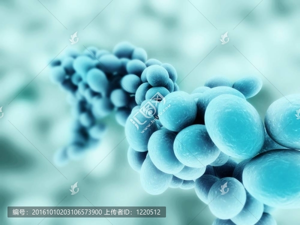 金黃色葡萄球菌