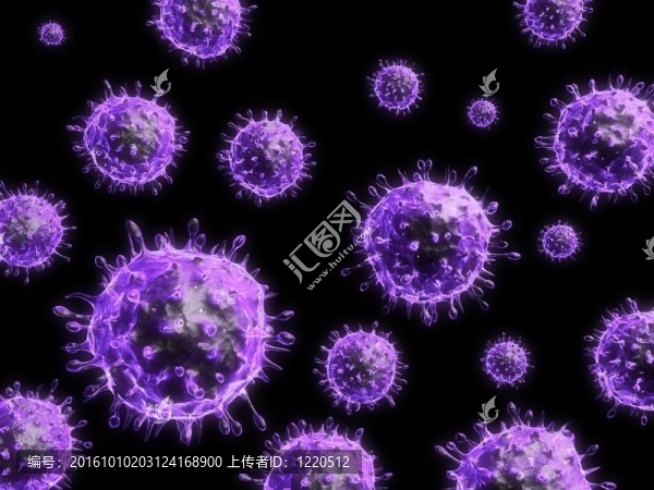 甲型H1N1流感病毒