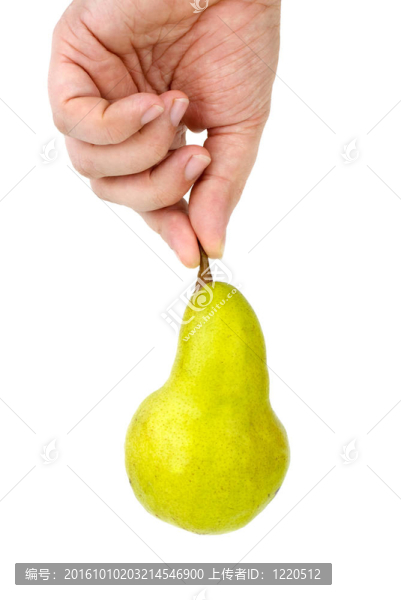 手持綠梨