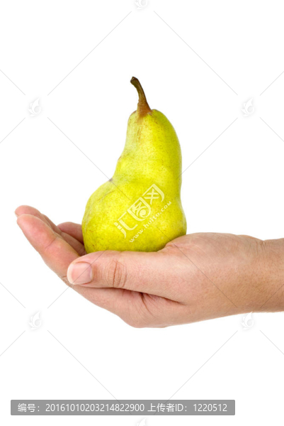 掌抱青梨