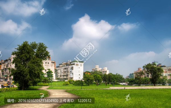 公園的房子