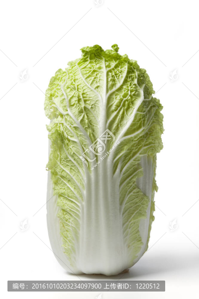 一大白菜