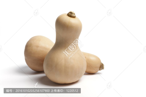 兩冬南瓜