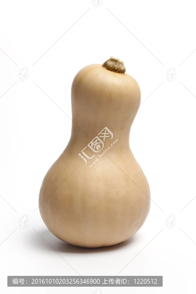 一個(gè)南瓜