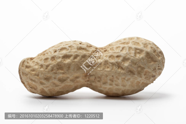 一個(gè)完整的花生