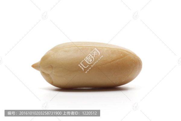 花生仁