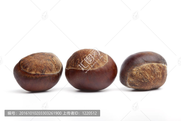 白色背景上的甜栗子