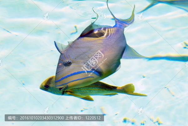 水族館