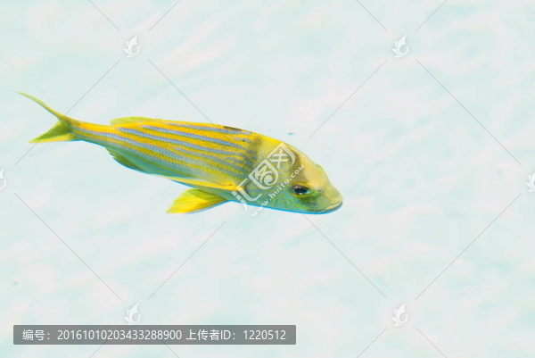 水族館