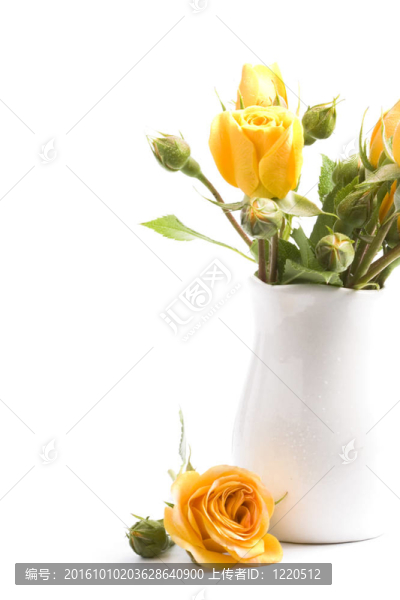 黃色的花