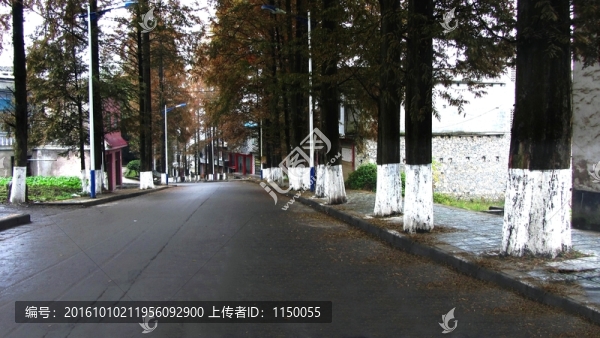 生態(tài)公路通鄉(xiāng)公路