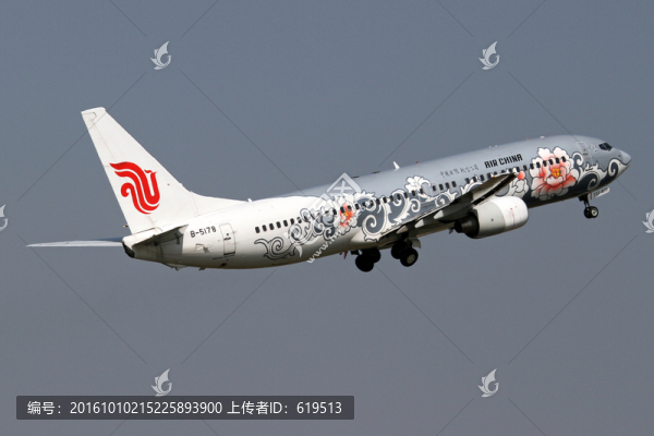 國(guó)航牡丹號(hào)彩繪飛機(jī)起飛