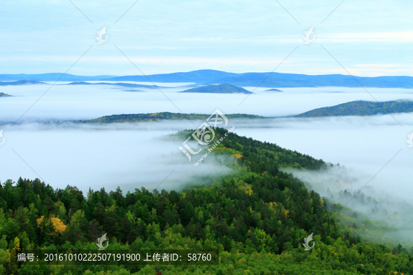 秋季林海云霧