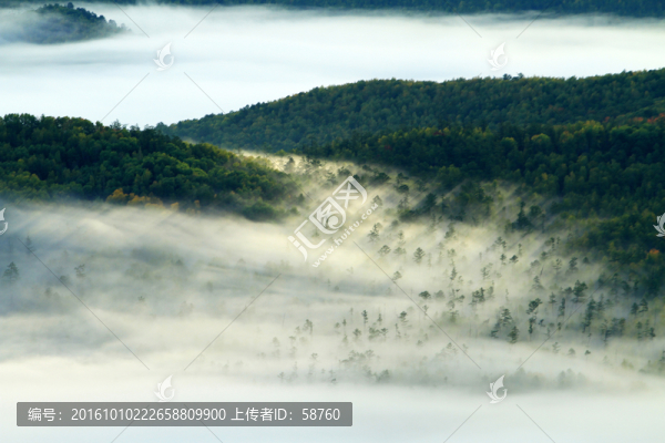 山林云海風(fēng)景