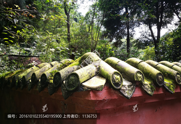 老院墻