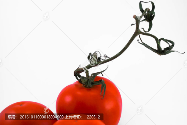 西紅柿