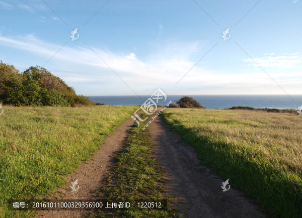 海洋大道