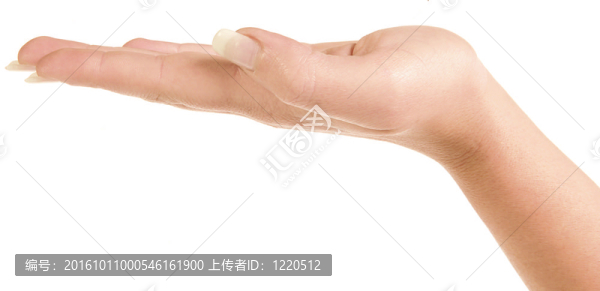 拿著棕1
