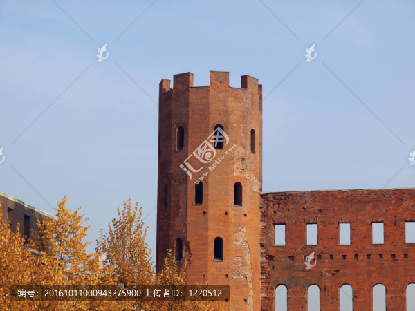 Torri,Palatine；都靈