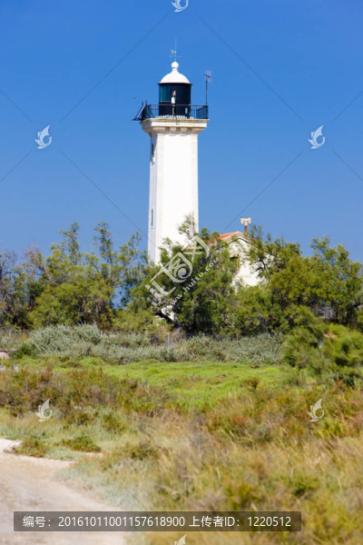 gacholle燈塔；公園區(qū)域de,Camargue；普羅旺斯；法國