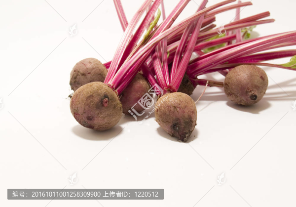 甜菜