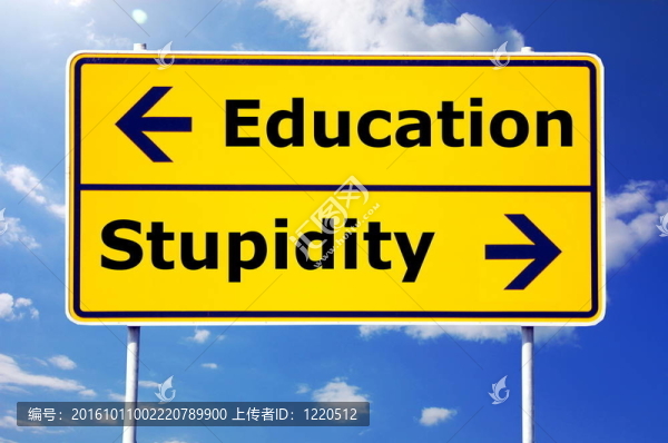 教育和愚蠢