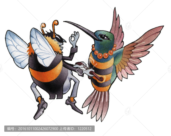 hummingbird_5