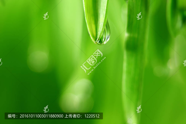 大水滴