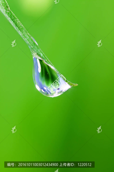 大水滴