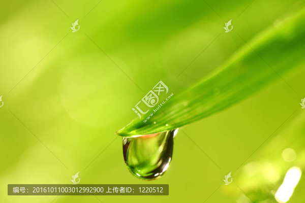 大水滴