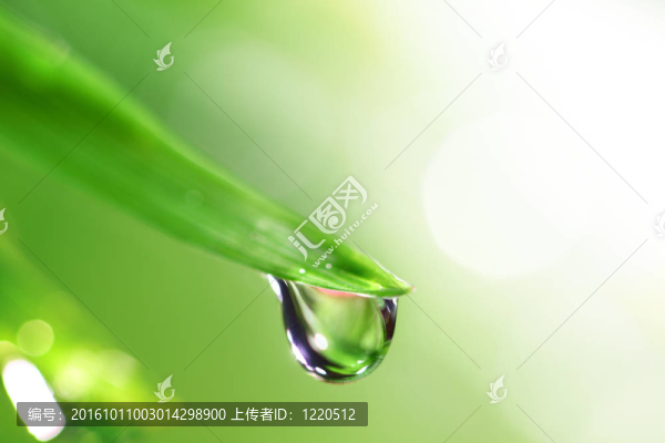 閃耀的水滴