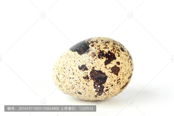鵪鶉蛋