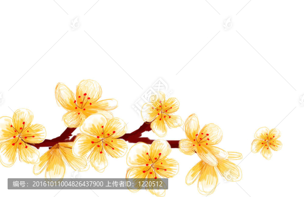 櫻花