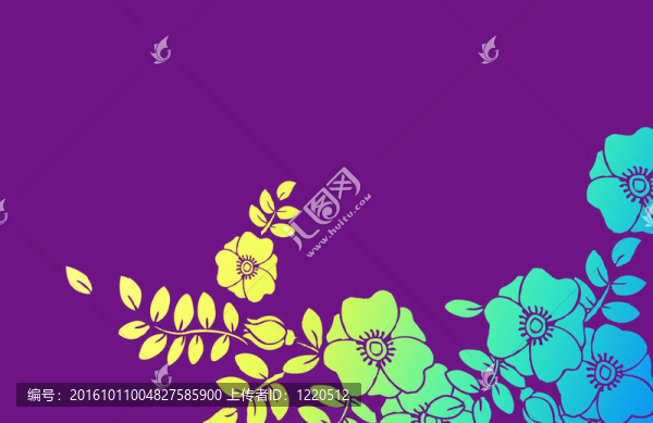 紫色背景的花