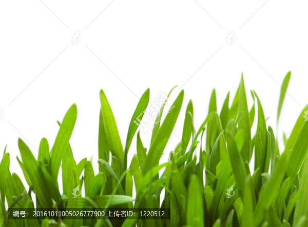 白色背景上的綠色玻璃