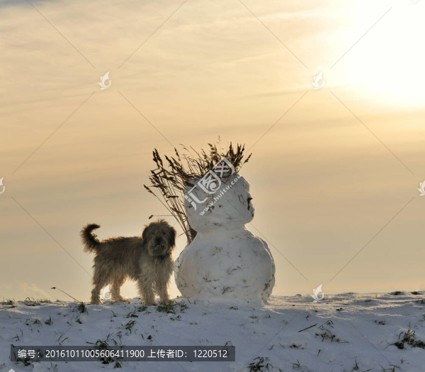冬天的雪人和狗