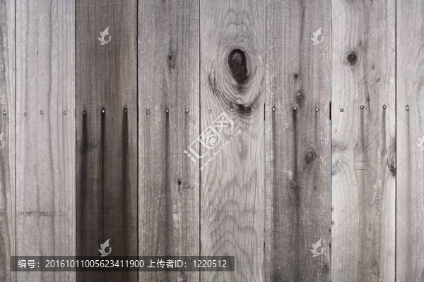 圍墻的細(xì)節(jié)