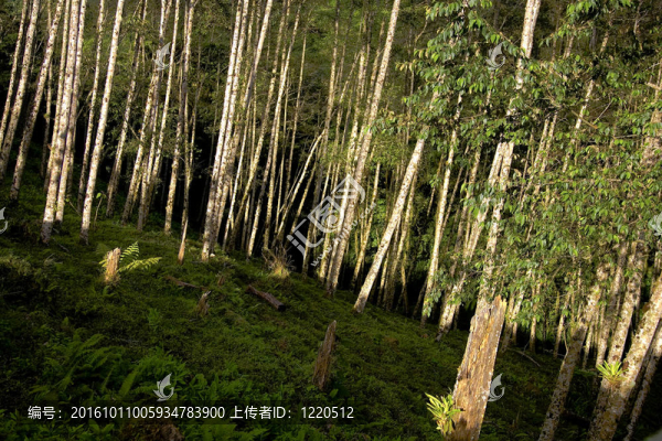 Mountains在圣若澤；哥斯達(dá)黎加