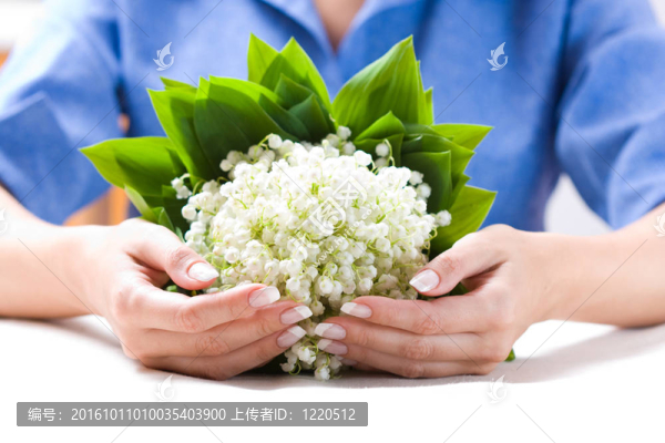 美麗的手