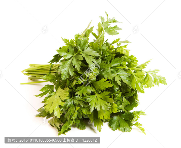 西芹