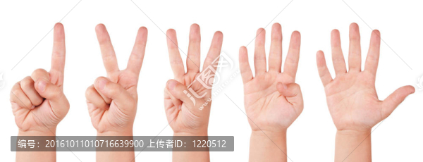 孩子的手指數(shù)