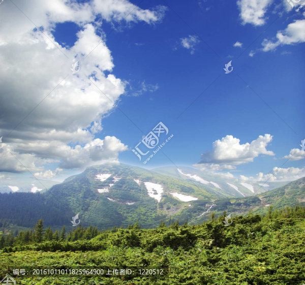 山