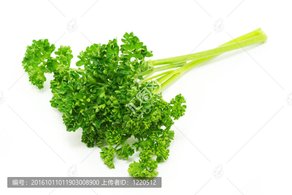 西芹