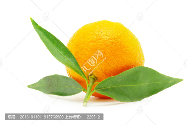 普通話