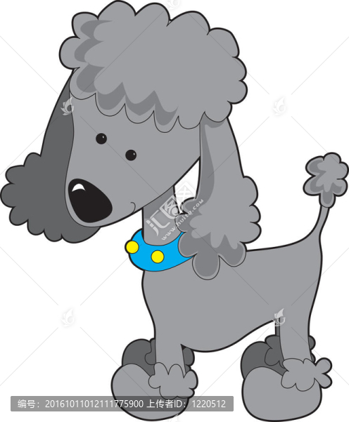 貴賓犬的灰色