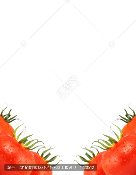 西紅柿