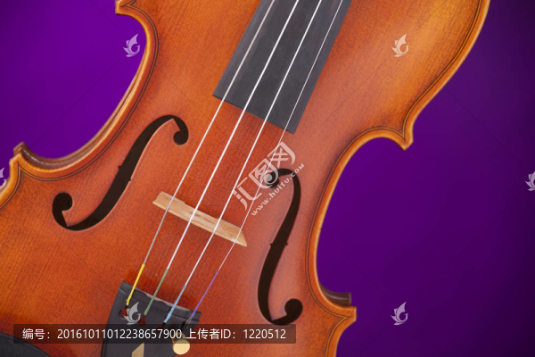 Viola,Violin孤立的紫色